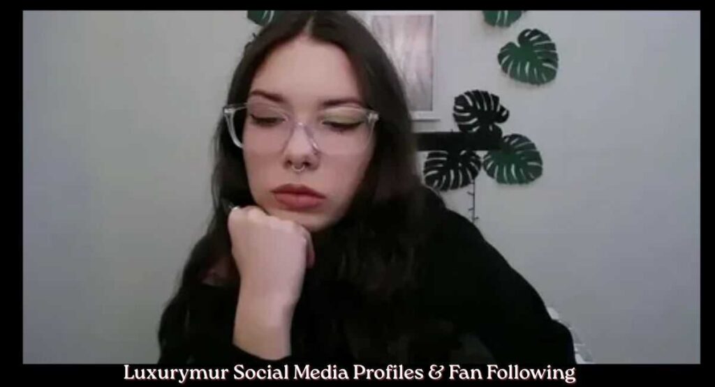 Luxurymur Social Media Profiles & Fan Following
