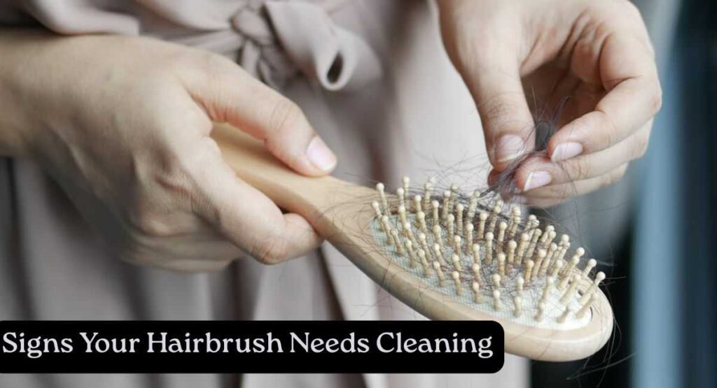 Signs Your Hairbrush Needs Cleaning